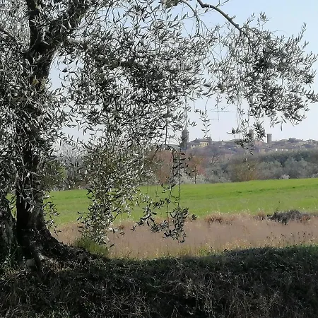 La Dimora Degli Olivi *