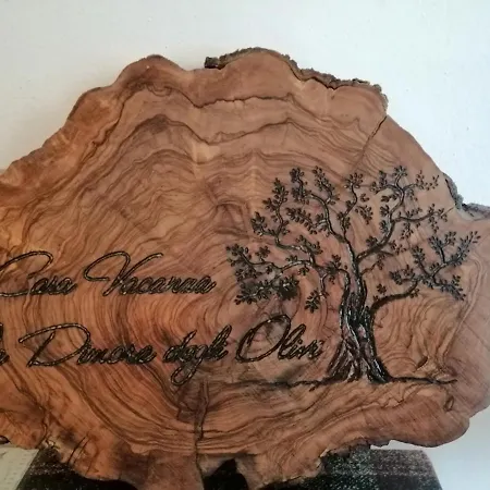 La Dimora Degli Olivi Apartment Torrita di Siena