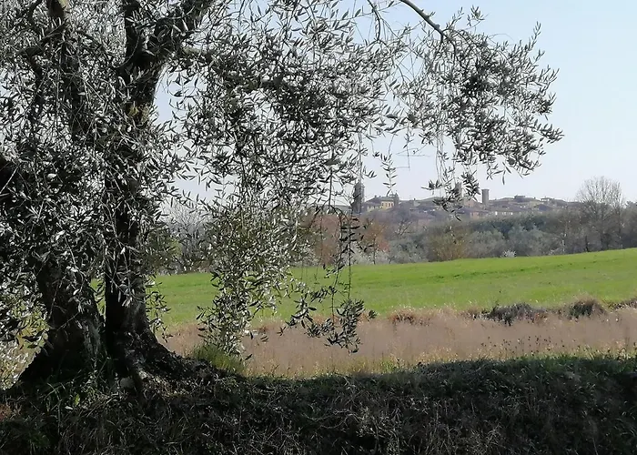 La Dimora Degli Olivi *